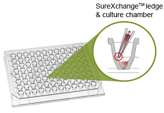 SureXchange(TM) ledge and culture chamber