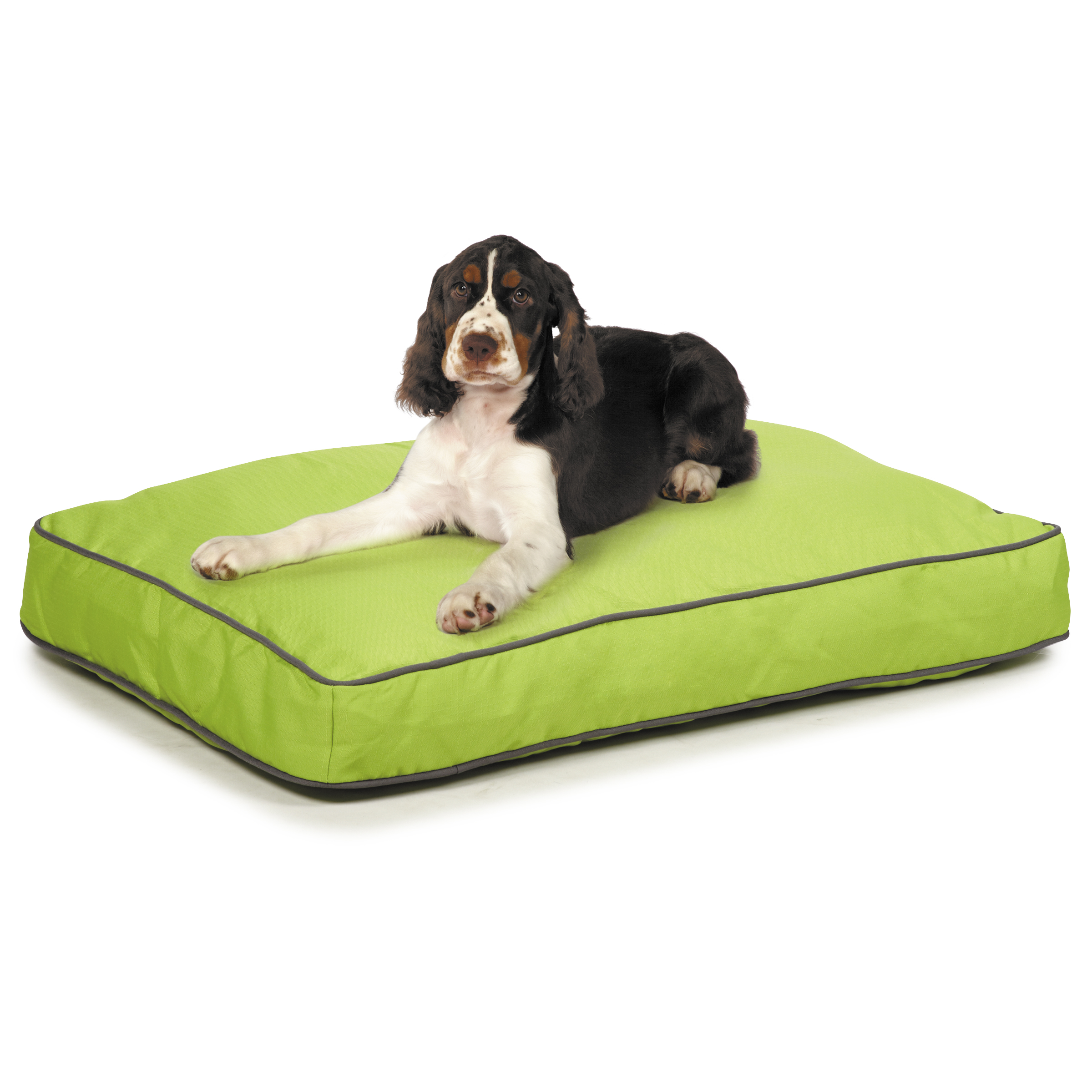 Insect Shield Ultra Pet Bed