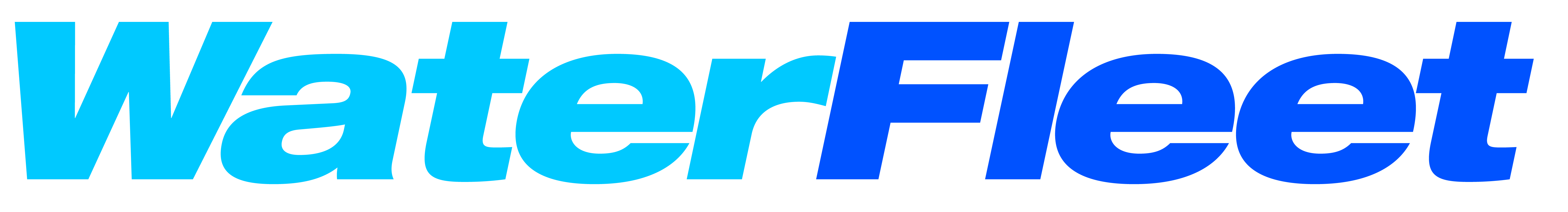 WaterFleet Logo