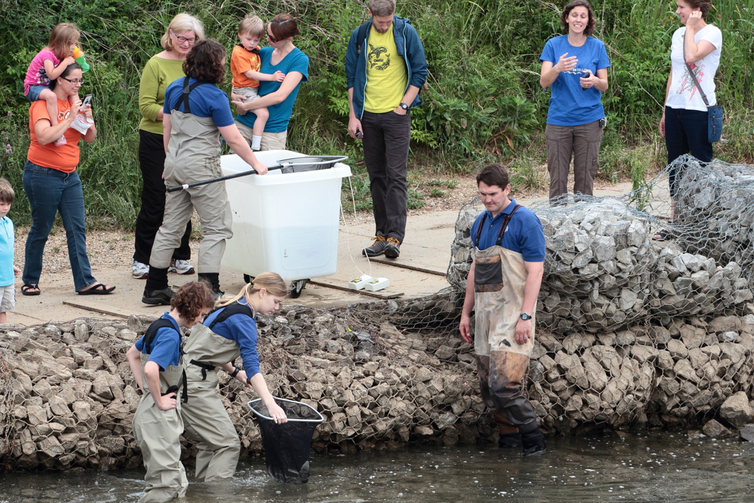 TNACI interns Mary Klinghard and Rachel Powell prepare to release a sonic-tagged Lake Sturgeon into the TN River in downtown Chattanooga.