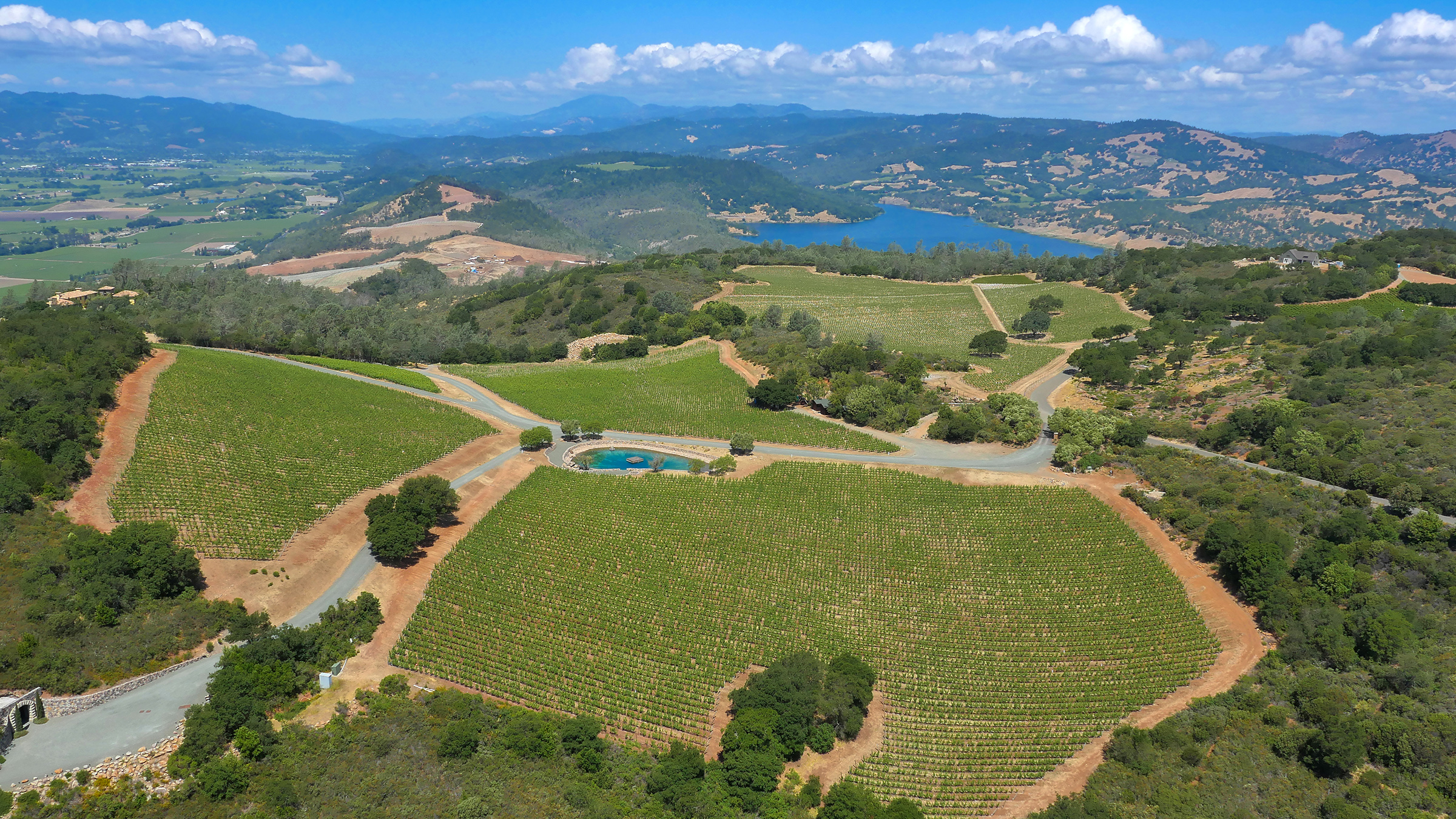 Vineyard parcels, pond, and potential ridge line home site atop Pritchard Hill.