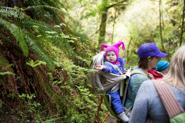 Join a group hike with family and friends