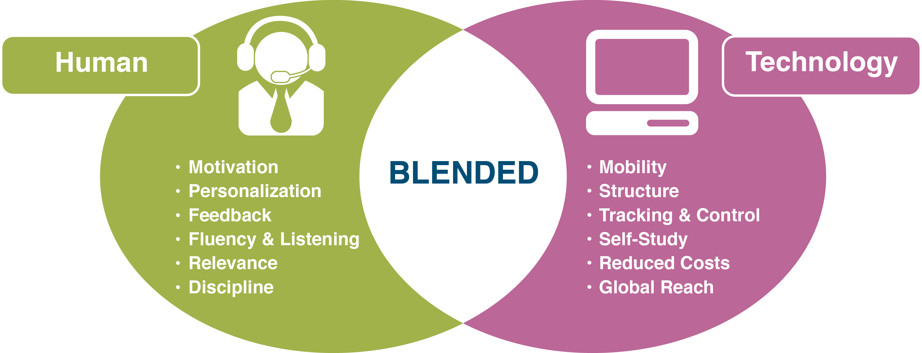 Blended Learning Model