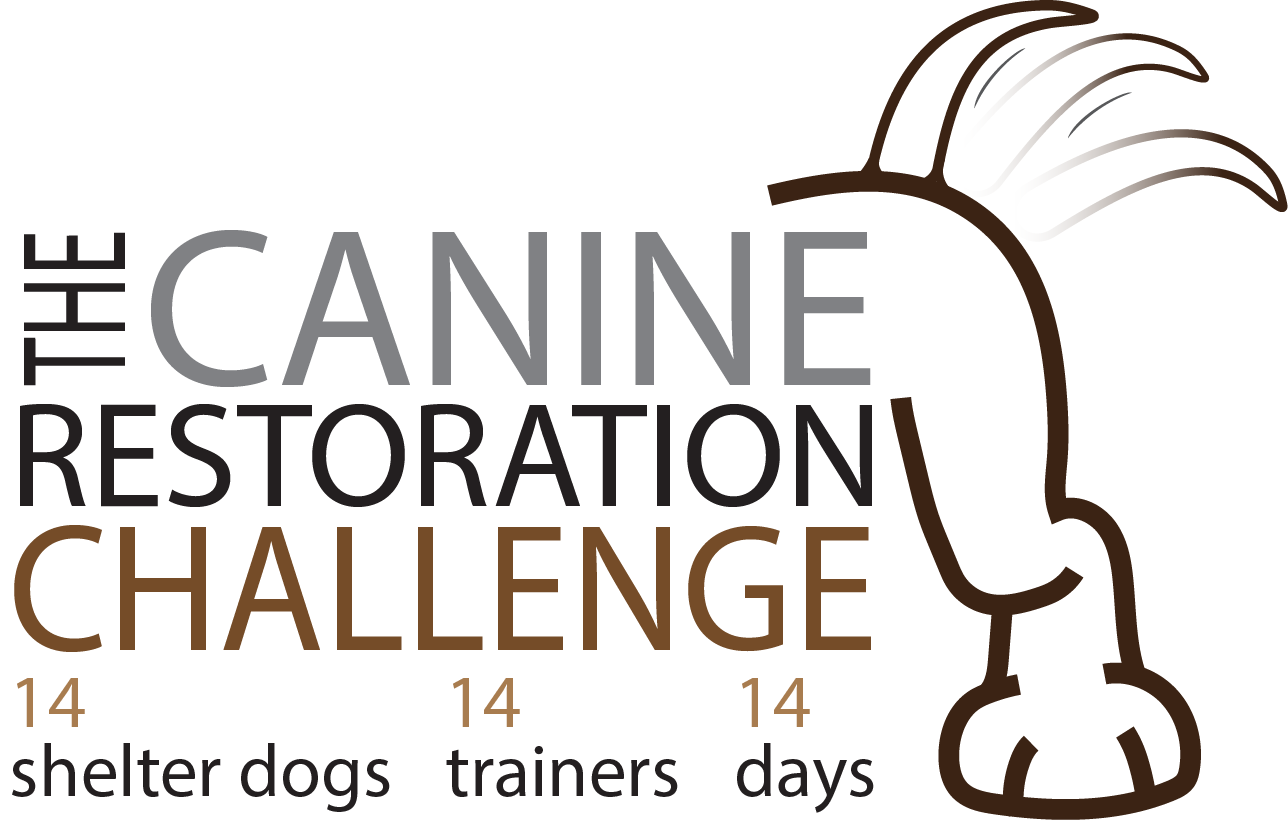 The Canine Restoration Challenge