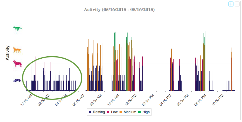 PetPace Activity Chart Monitoring Boston Terrier with Sleep Apnea