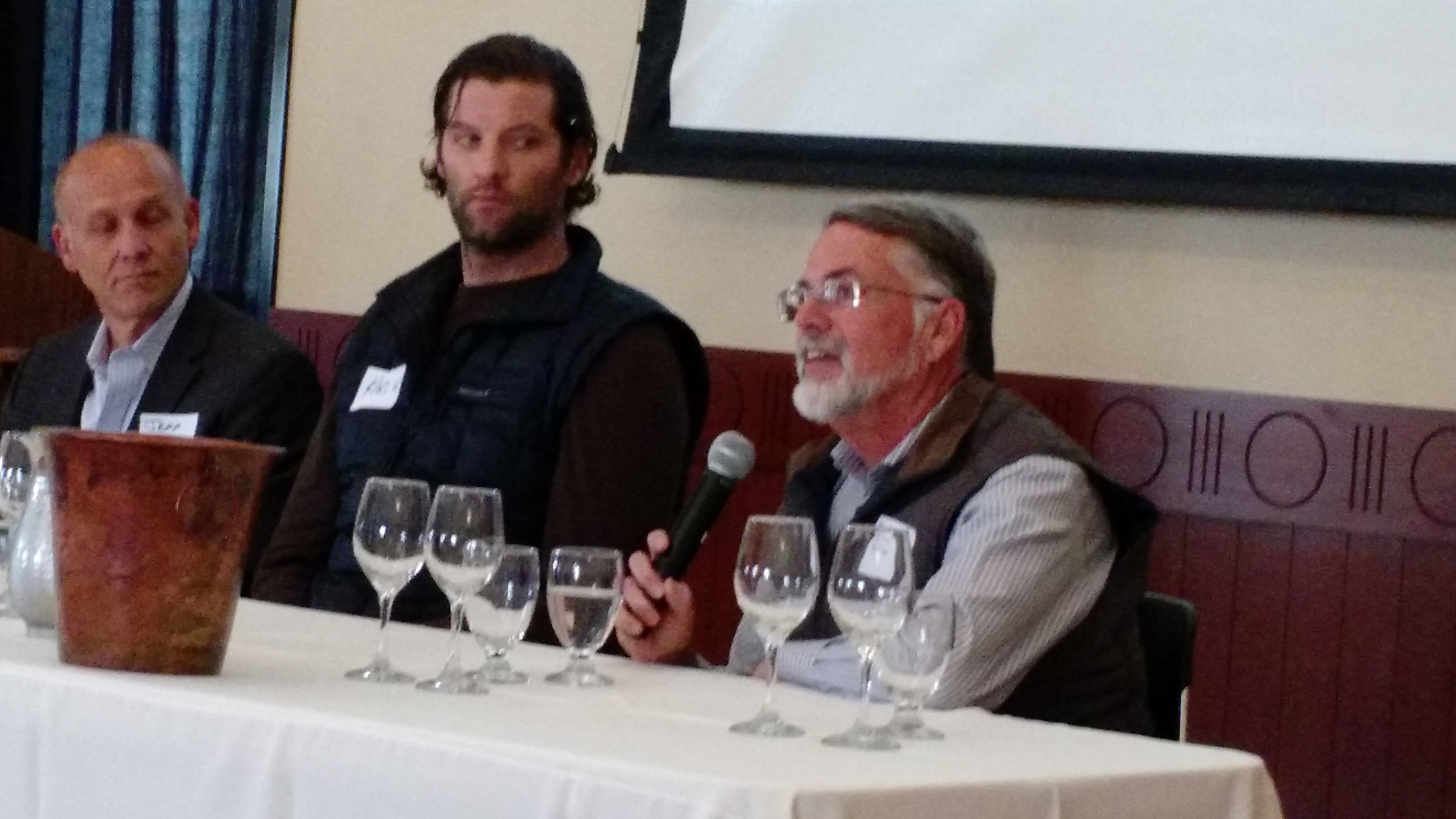 California winemakers and growers discuss Sauv Blanc
