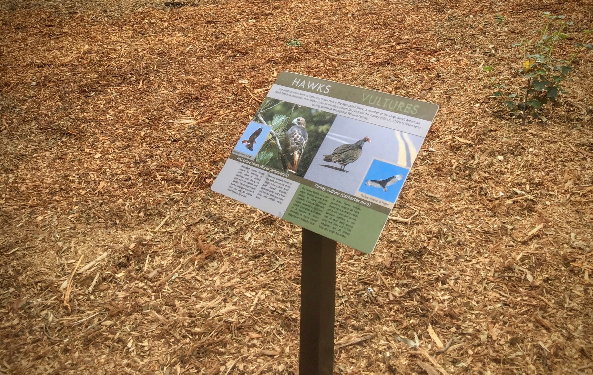 Custom signage along the Play Trail provides educational opportunities for children and families.