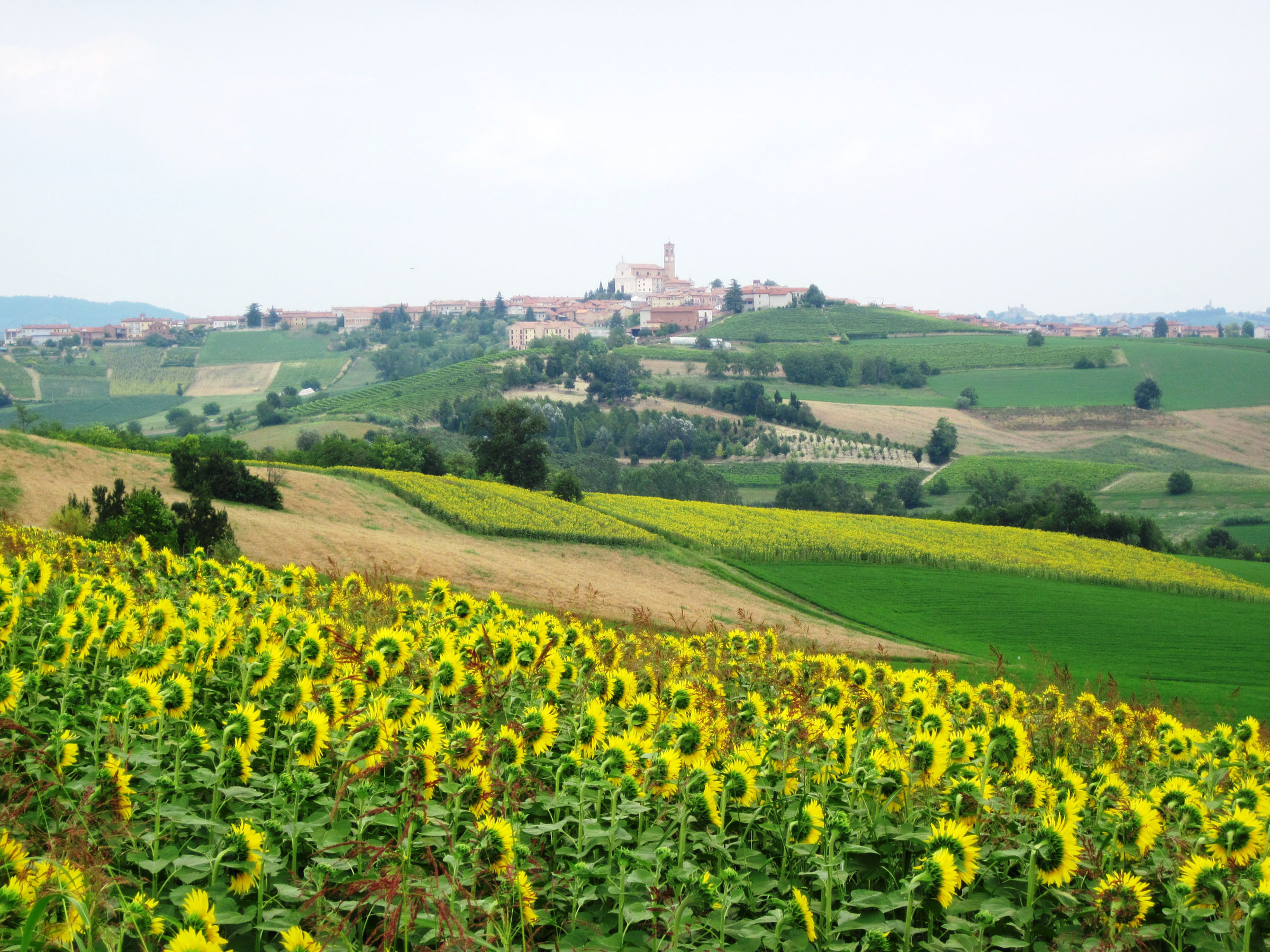 The castles of Monferrato, each guarding a unique medieval village, the famed thermal waters of Acqui, and the hypnotic geometry of the Nizza hills are among the many highlights on our glorious route.