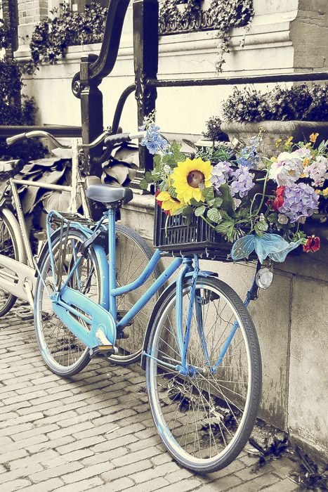 "Blue Bicycle"