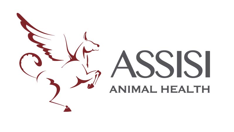 Assisi Animal Health Logo