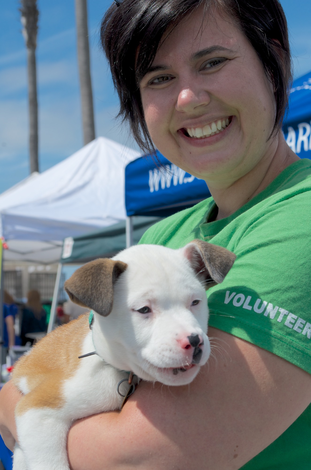 East Bay SPCA to Hold Annual Adopt-A-Thon