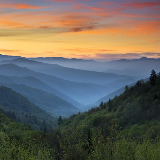 Clients of Brookhaven Retreat visited the Great Smoky Mountain Heritage ...