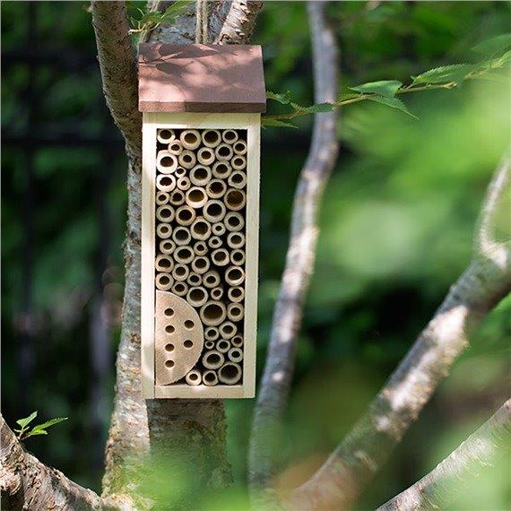 Bee House 2