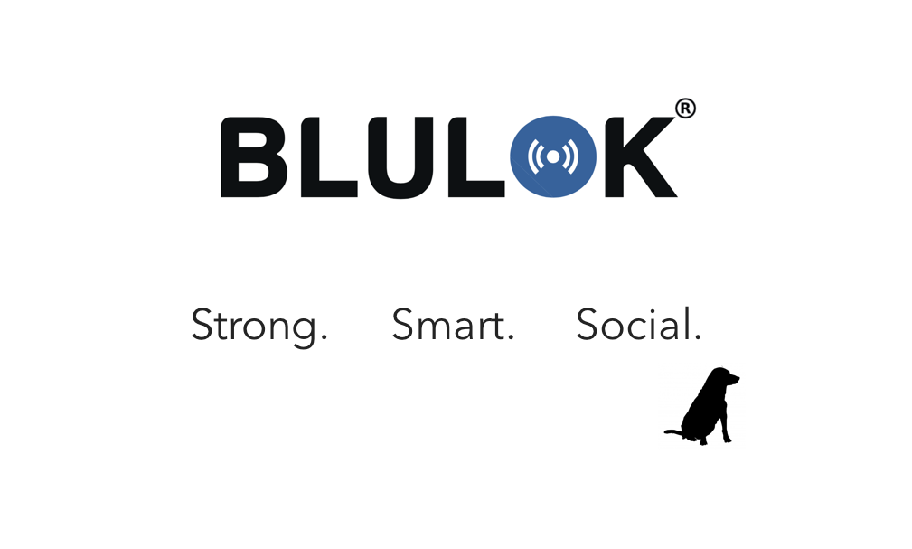 BLULOK®: High-security Bluetooth alarmed bike lock