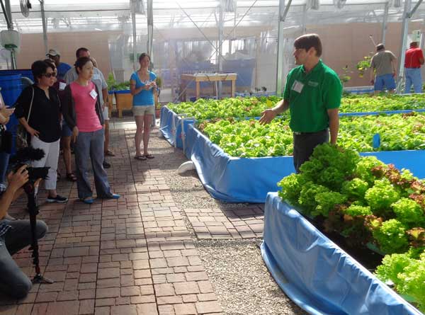 Aquaponics = raising fish and vegetables for food or profit. We show you how.