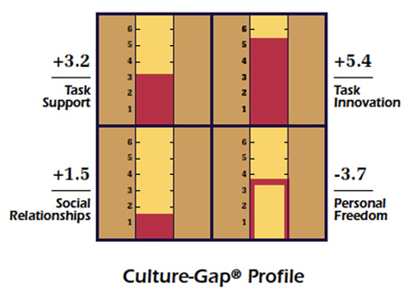 Culture-Gap® Profile