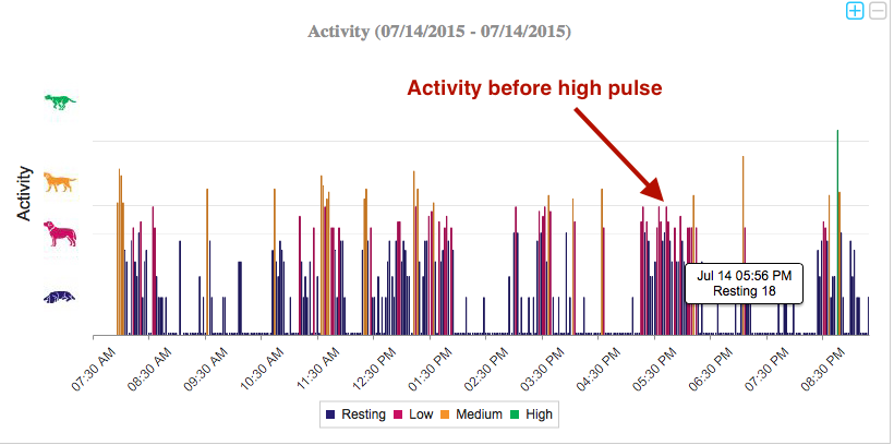 PetPace Activity Chart