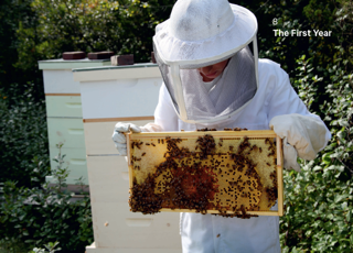 Orren Fox, 18-year-old author of Do Beekeeping: The Secret to Happy Honeybees, with his honeybees for National Honeybee Day, August 22, 2015.