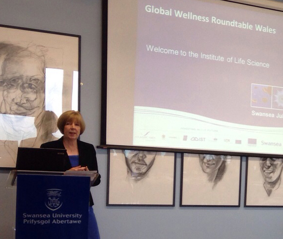 Dr. Ruth Hussey, Chief Medical officer for Wales, addresses the roundtable