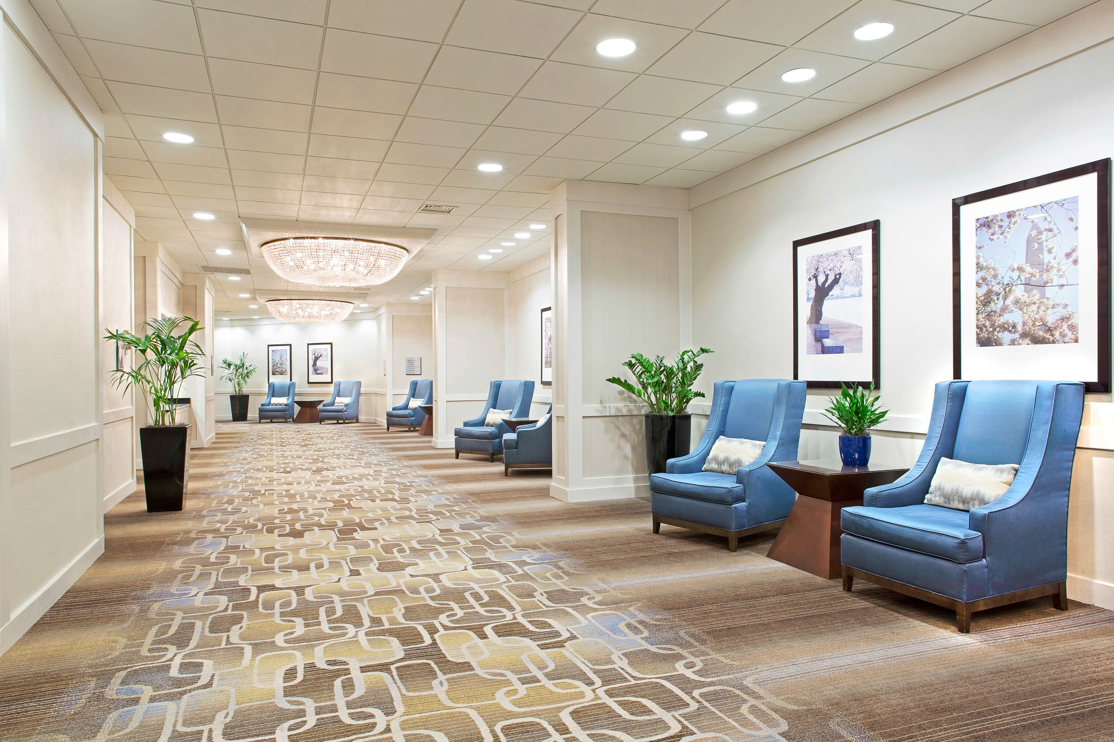 Hilton Crystal City  ballroom foyer