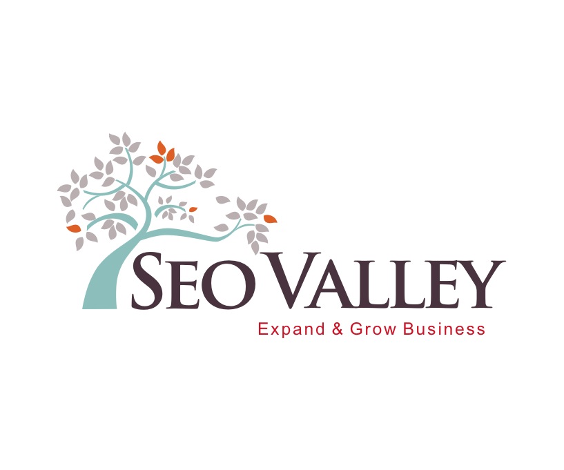 SEOValley in China