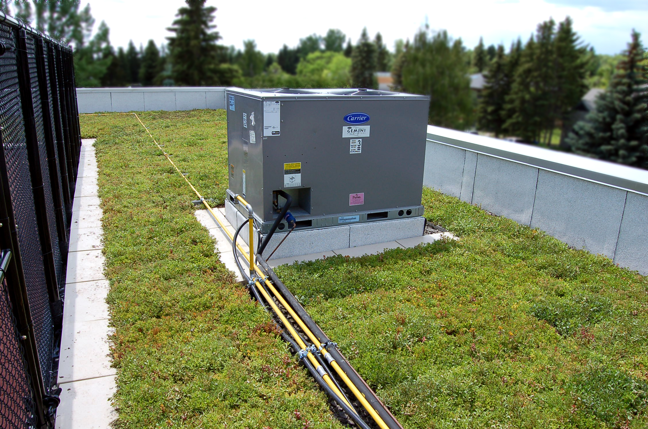The LiveRoof vegetated roof system helps reduce cooling costs.