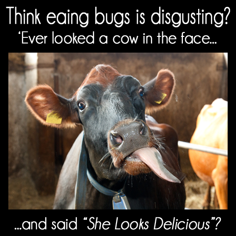 Ever look a cow in the face and said she looks delicious?