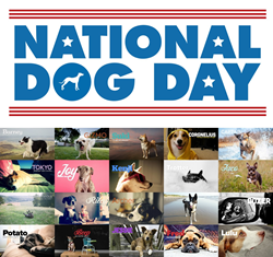 Dogs Get Their Very Own Websites for National Dog Day 2015 USA - English - USA - English - PR Web