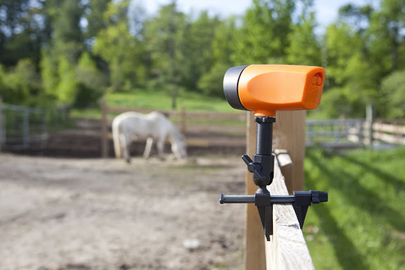Camera on horse