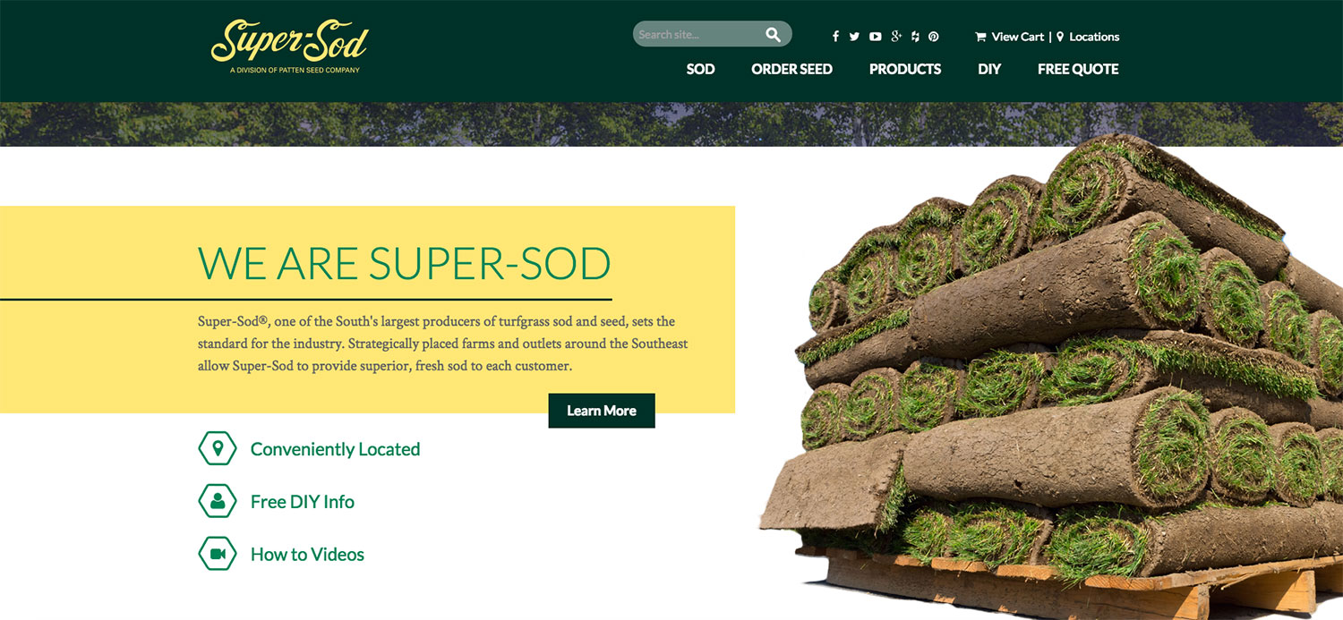 Screenshot of Super-Sod's new Website
