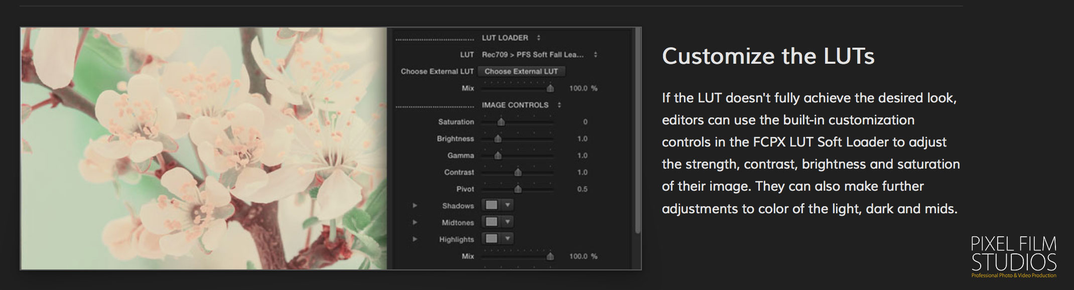 FCPX Plugins