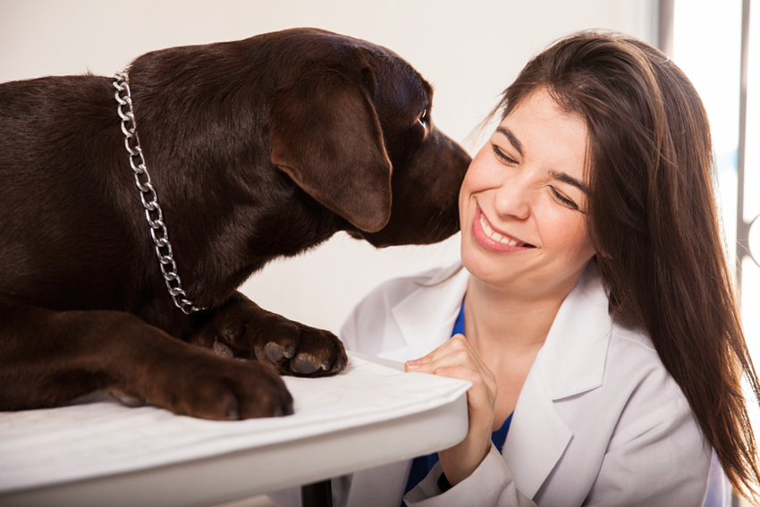 Ancon Medical will help detect diseases in Dogs and Cats