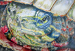 Connecticut Senior Juried Art Show: Honorable Mention in Drawing Category – Sharon C. Malanczuk, age 72, Stafford Springs, CT – Friendly Neighborhood Turtle (Colored Pencil)