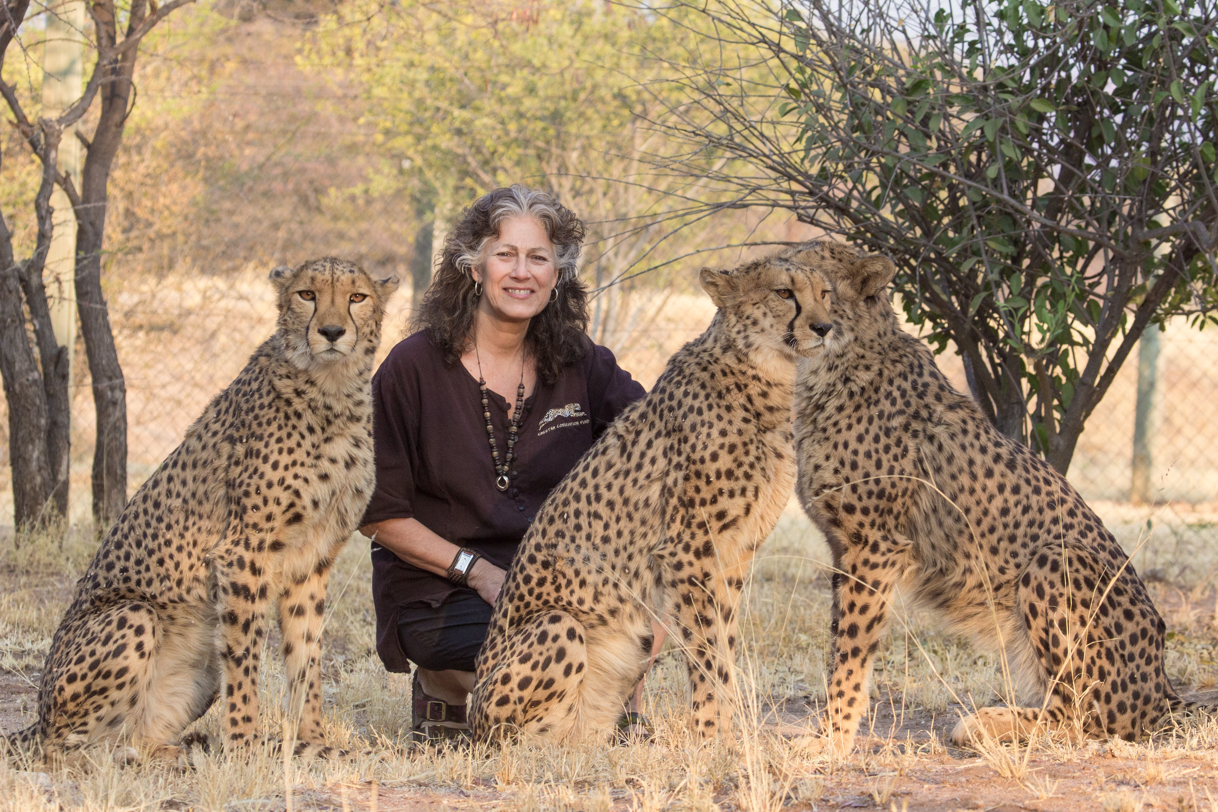 Dr. Laurie Marker and CCF Cheetah Ambassadors