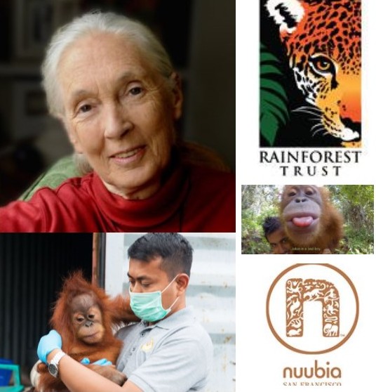 Pongo Environmental Award honorees for 2015
