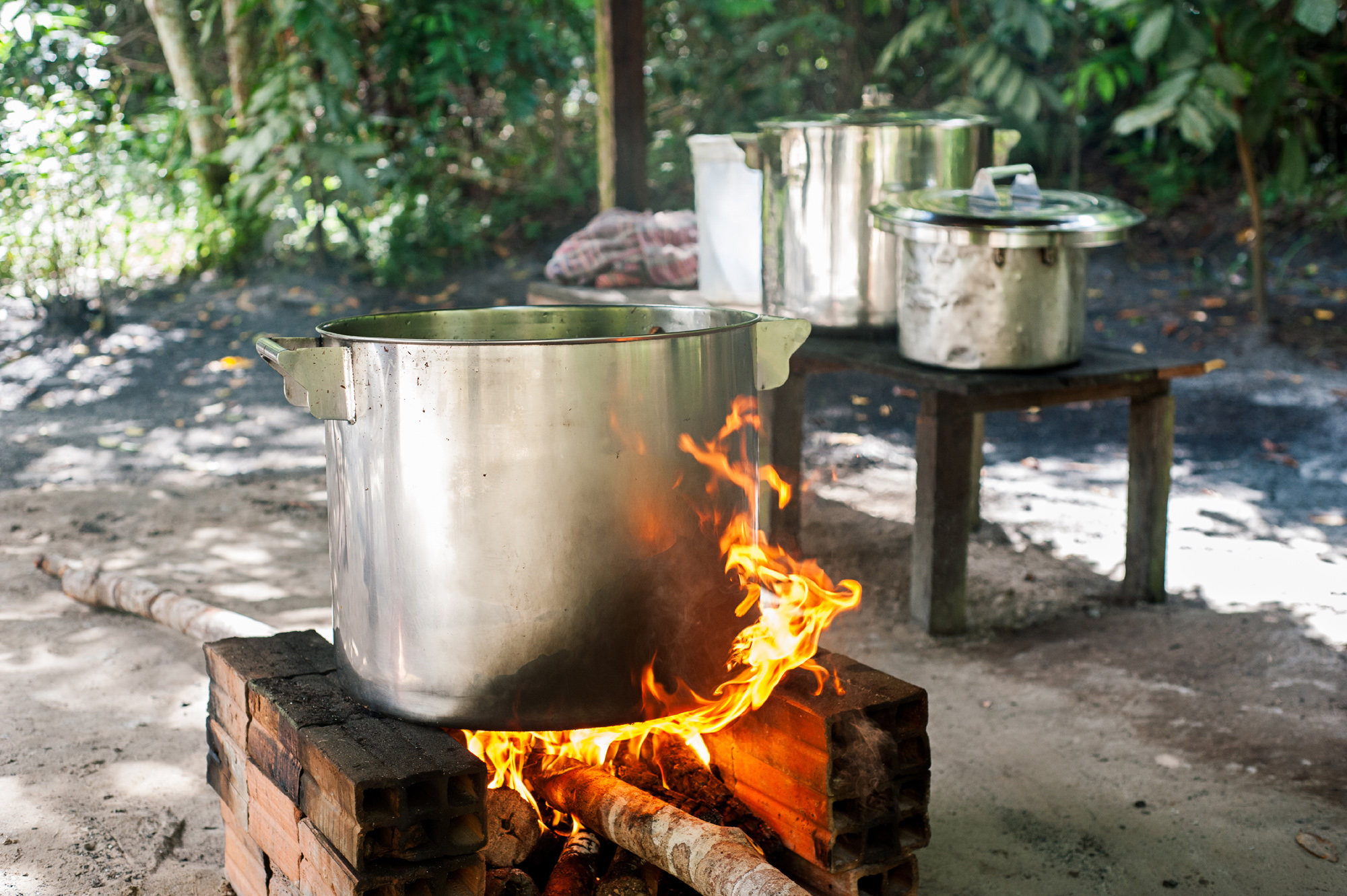Ayahuasca boiling down the brew in the Amazon jungle. Photo by Tracey Eller / Cosmic Sister