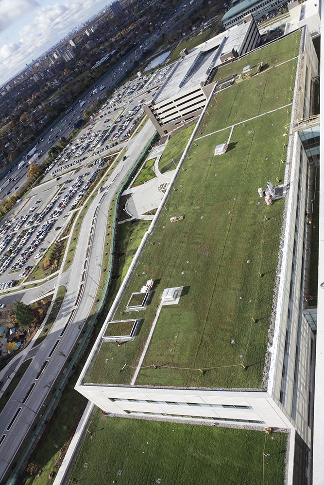 The Humber River Hospital is Home to the Largest LiveRoof Green Roof in the World