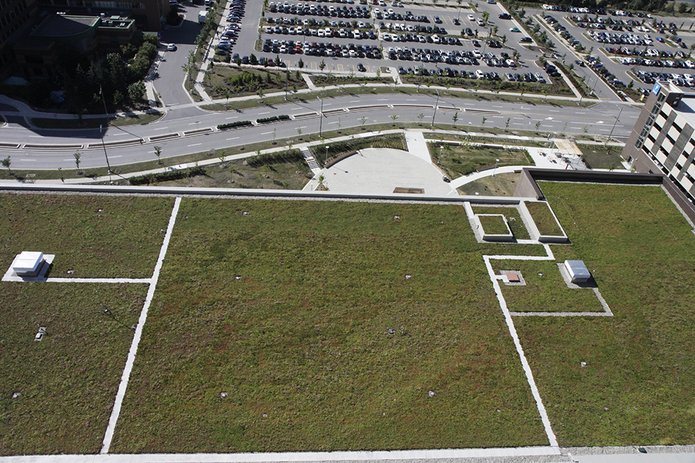 The Hospital Boasts a 13,192 Square Meters of Green Roof.