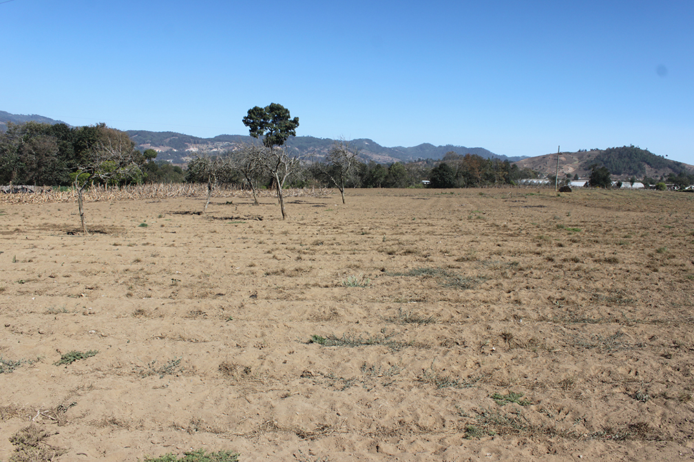 Deforestation for farming in Guatemala