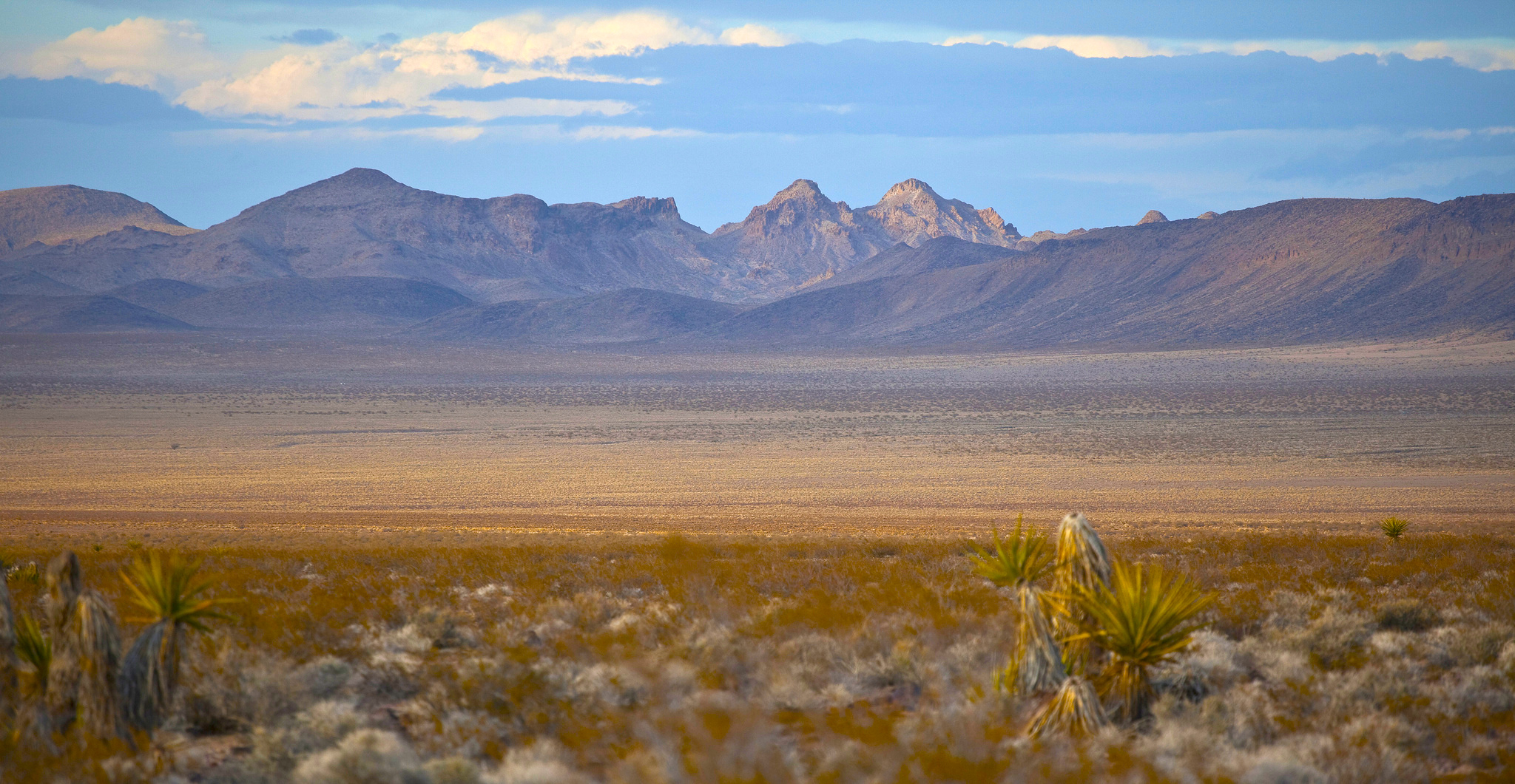 Sloan Canyon National Conservation Area is a popular destination for residents of the Las Vegas Valley. It is part of BLM’s National Conservation Lands.