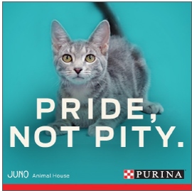 Purina launched the “Meet the Real Me” campaign in 2014 to change the perception of shelter pets and to drive pet acquisition through adoption.