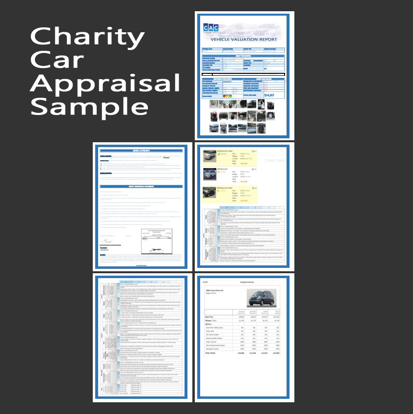 Charity Car Appraisal Sample Report