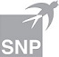 SNP - The Transformation Comapny