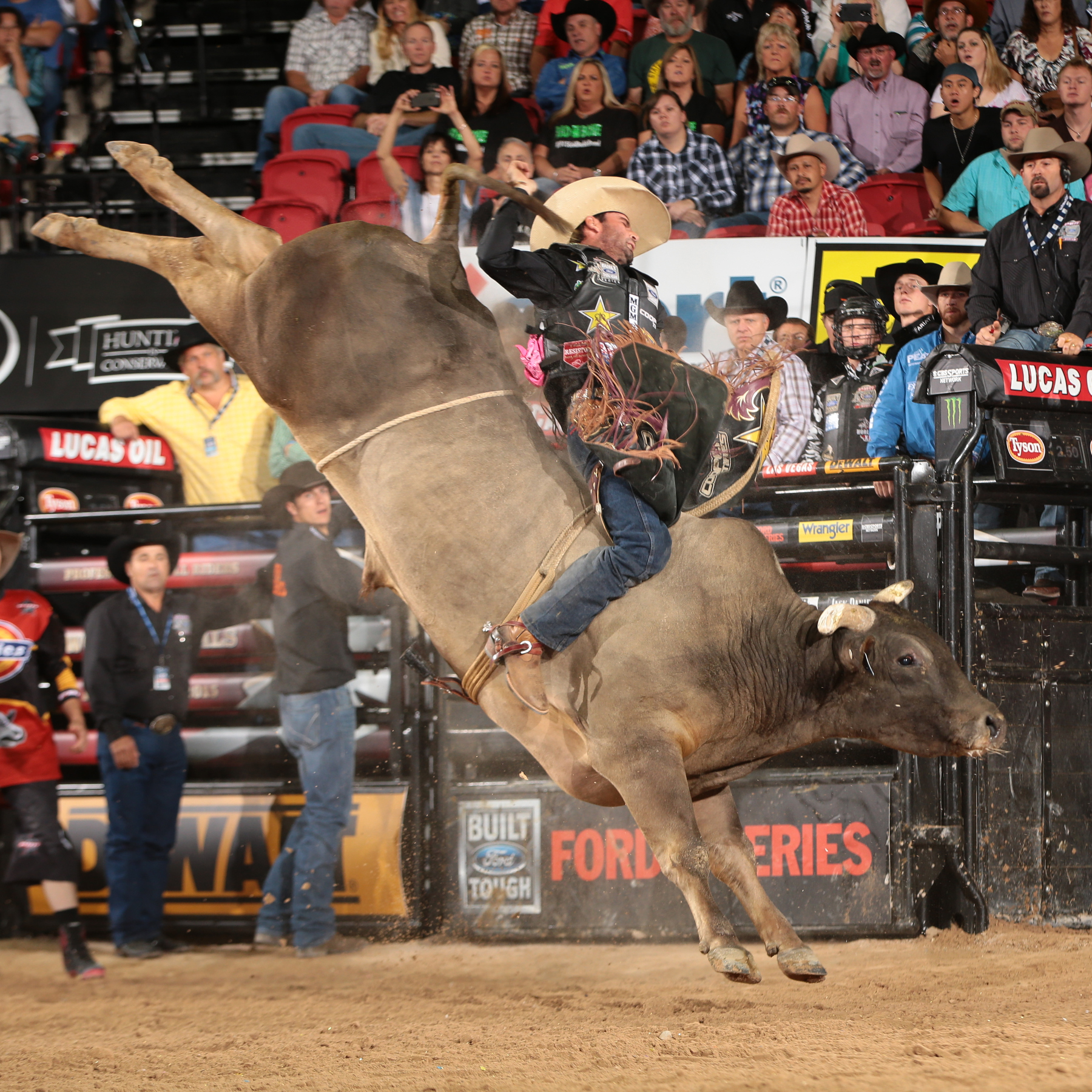 Professional Bull Rider's 2015 Champion Bull is SweetPro's Long John