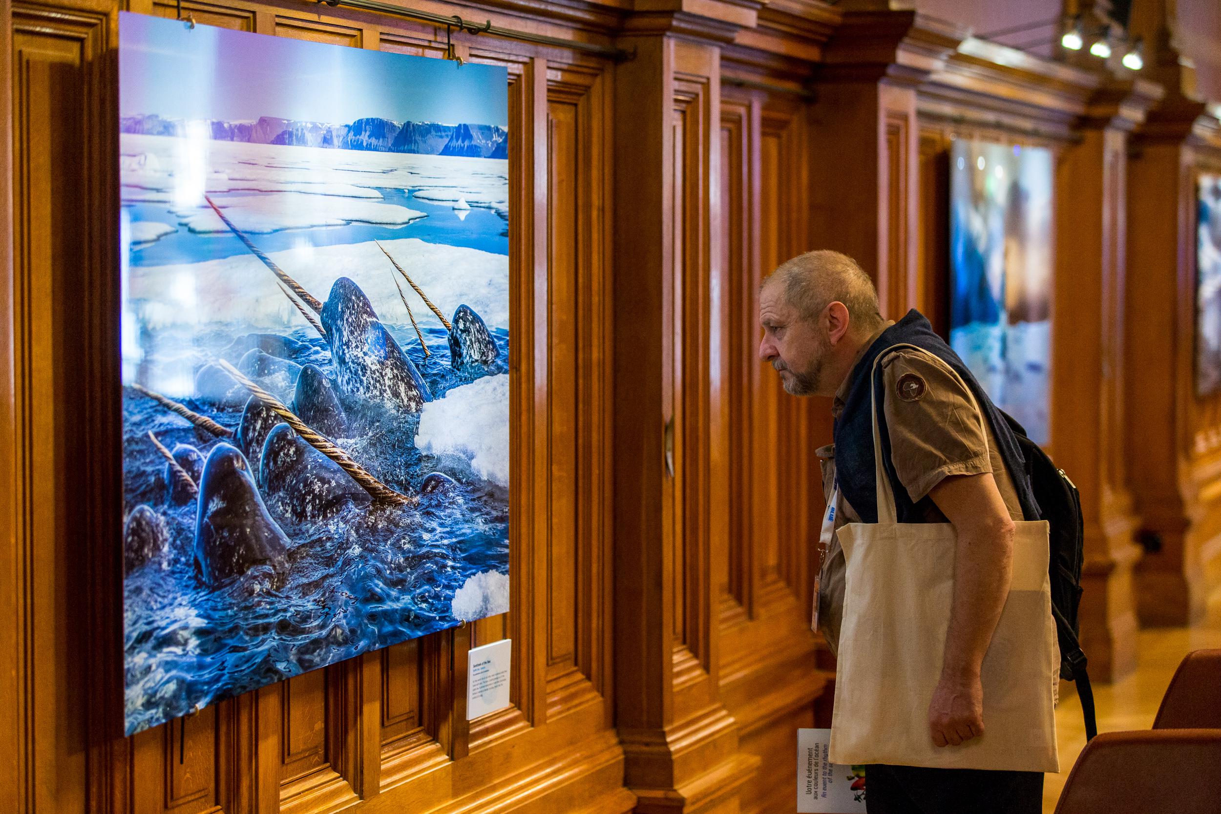 Sea Legacy Photographic Exhibit at BLUE2015