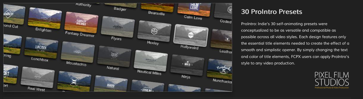 Pixel Film Studios ProIntro Indie Plugin.