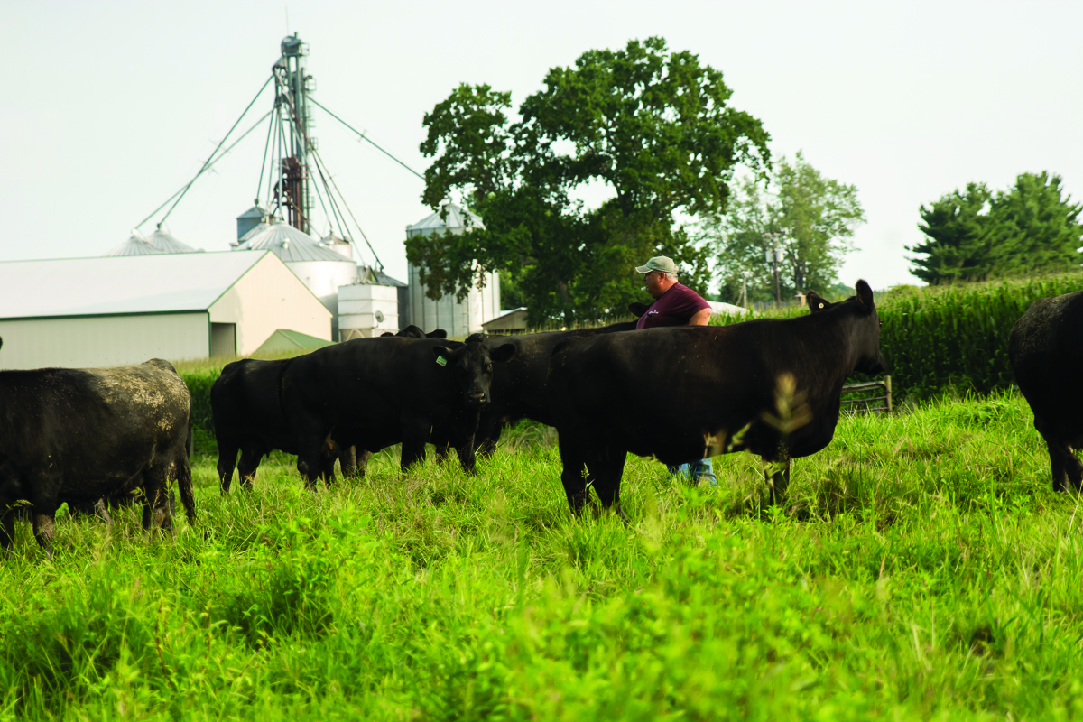 Pleasant Valley Farm grows soybeans and corn on 2,500 acres, as well as selling natural, grain-fed Black Angus beef and fresh sweet corn at their farm stand.