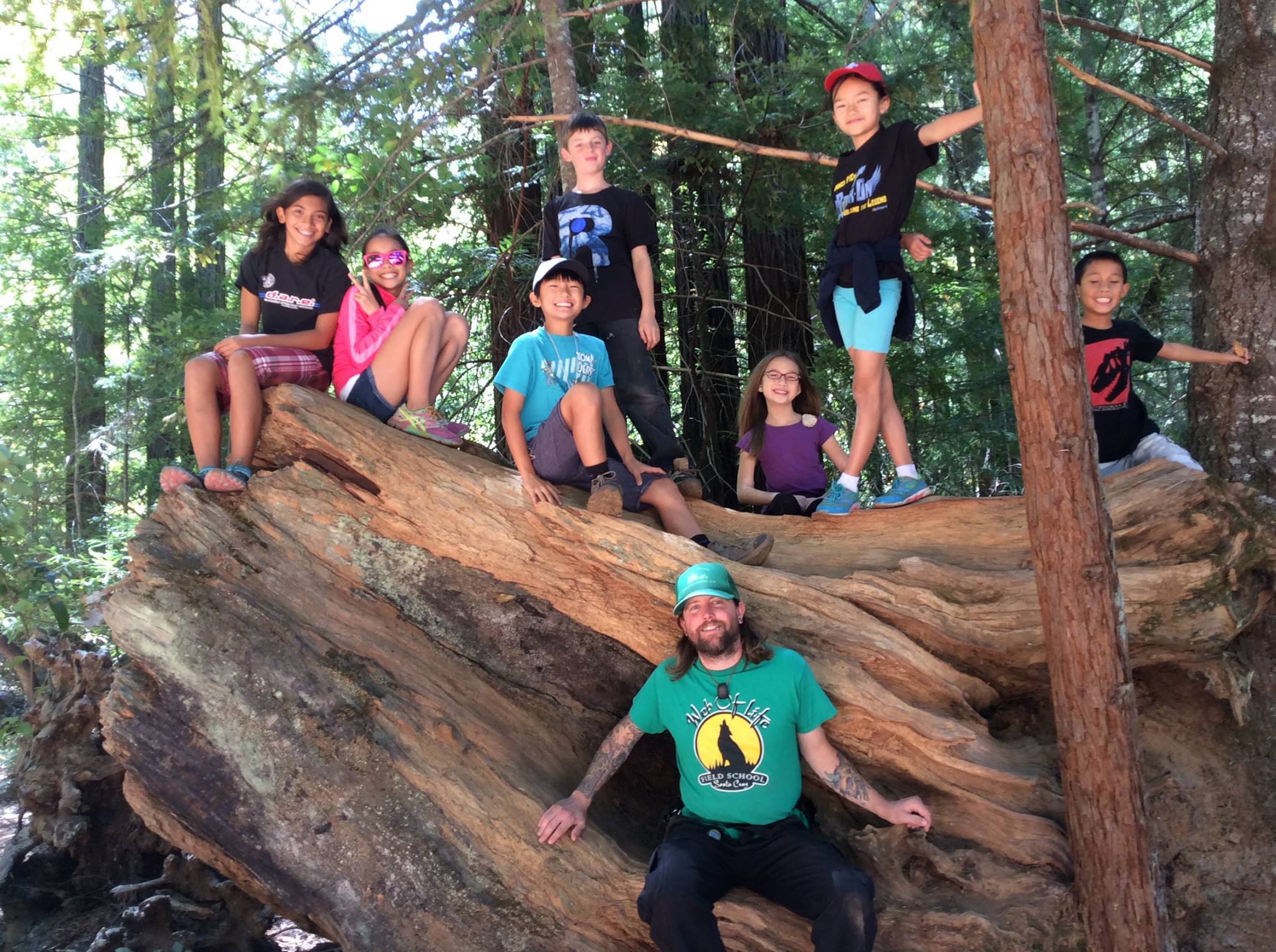 Students explore California redwoods