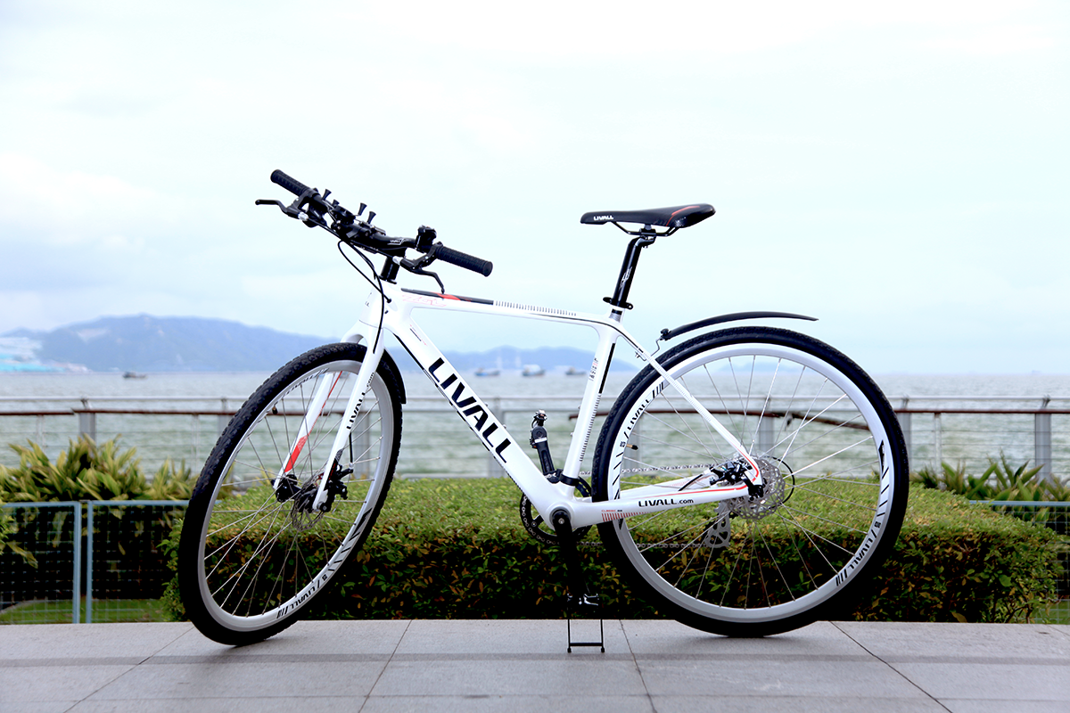 LIVALL Oxygen Alps Bicycle