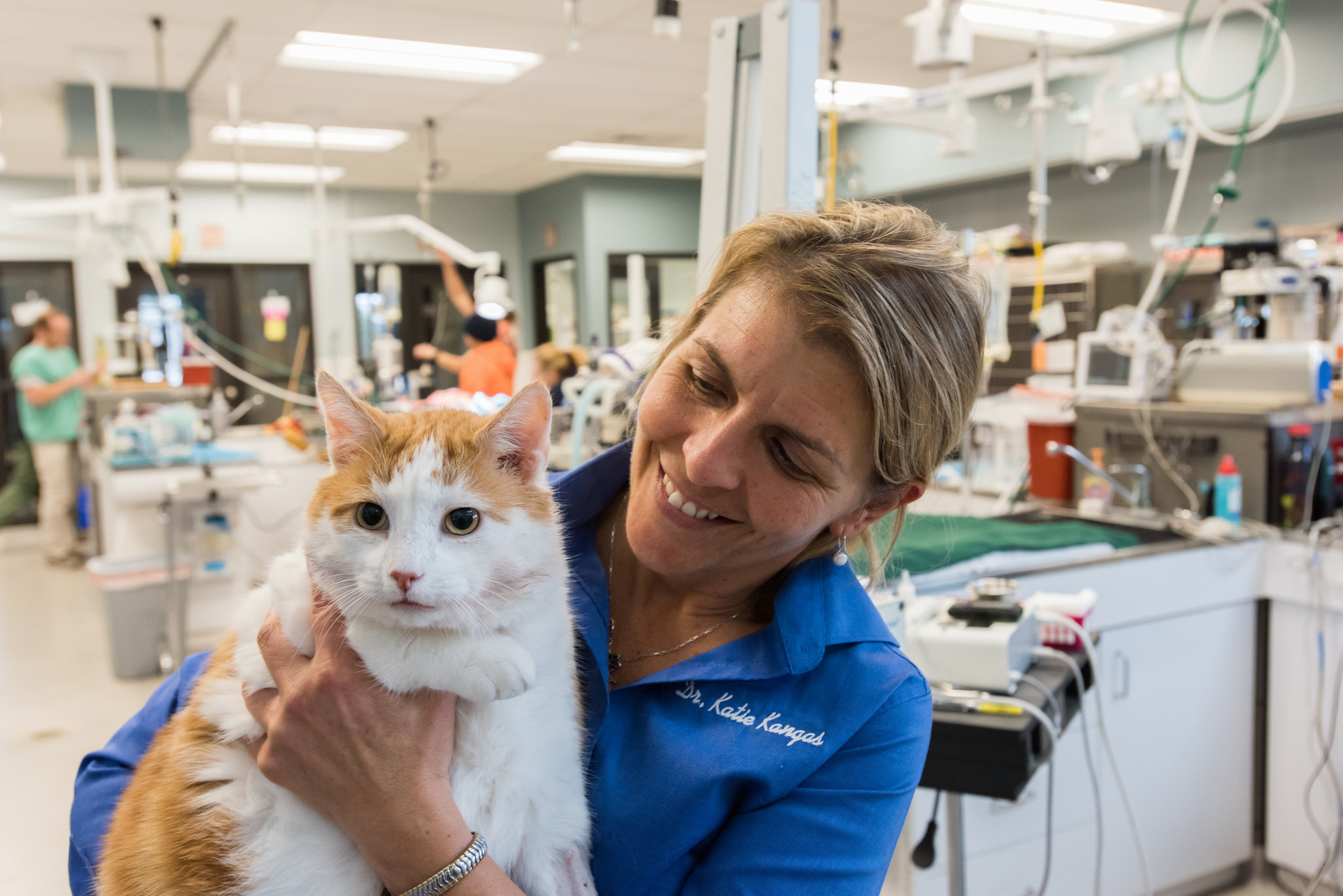 Zuma the cat recovering nicely,  cuddled by Dr. Katie Kangas who volunteered her Thanksgiving weekend to help with dental procedures for more than 50  cats and dogs at Best Friends Animal Sanctuary..